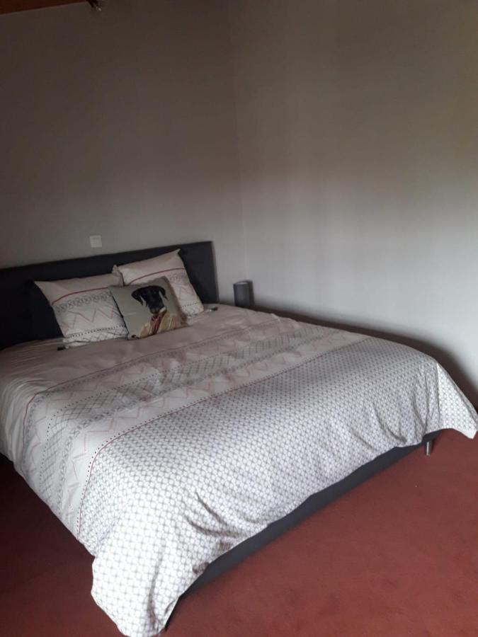 Lamasquere La Ferme Du Puits Carre B&B 외부 사진